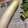 Sa〜ちゃん's cooksnap of when they made 大根長持ち！大根保存.