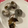 ホットマロンラテ's cooksnap of when they made ながらみの塩茹で.
