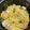 いっぺい99's cooksnap of when they made 混ぜるだけパエリア.