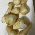 しましまあひる's cooksnap of when they made 目からウロコ！ヌルヌルなしの里芋の皮むき.