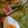れそそ's cooksnap of when they made ちょっぴり豪華に魅せるレタスのサラダ*･.