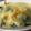angella's cooksnap of when they made ほうれん草とタラのあったか＊グラタン.