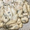 Qaya's cooksnap of when they made 叔母直伝☆牡蠣の洗い方.