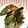 クックXMQHMU☆'s cooksnap of when they made 余ったかつおのたたきで☆かつおのしそ巻き.