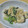 みそだ☻'s cooksnap of when they made mレタスと卵の中華マヨ炒め.