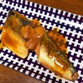 ma2kaboch's cooksnap of when they made さばの味噌煮『何食べ』#48.