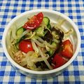 ととろ＆めい's cooksnap of when they made 中華風サラダ.