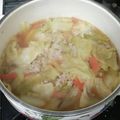みわたけ's cooksnap of when they made 母の定番、キャベツのワンタンスープ.