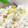 ばるるんばくん's cooksnap of when they made コーンとしらすの炊き込みご飯.