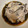 ピーナッツ子♪'s cooksnap of when they made 牡蠣ともずくのポン酢和え.
