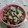 赤い電話's cooksnap of when they made 葉も丸ごと！セロリとツナのマヨぽんサラダ.