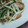 水滸伝's cooksnap of when they made 簡単！もやしとニラのウインナー炒め.