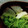 やっちーさん's cooksnap of when they made 簡単！松茸のお吸い物！.