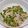 jam。's cooksnap of when they made 甘長と釜あげしらすのゴマ油炒め.