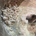 きよしぃぃ's cooksnap of when they made ビート（甜菜）で砂糖を作る！.