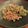 クック15FFG6☆'s cooksnap of when they made 豚肉とピーマンの炒め物.