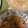 んりおか's cooksnap of when they made 焼肉のたれで簡単チャプチェ.
