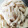 ひっこ's cooksnap of when they made 簡単◎しっとりジューシーささみ◇ゆで方.