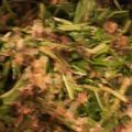 クックVFK2NN☆'s cooksnap of when they made さっぱり水菜とツナのサラダ.