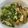 pandaayu's cooksnap of when they made 豚ひき肉のニラ玉丼.
