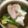 ぷーとんR's cooksnap of when they made 落とし卵とブロッコリーの満足スープ*･.