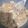 クック38UB4F☆'s cooksnap of when they made 子供大好き大根消費★マヨポン豚バラ大根！.