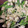 snow012's cooksnap of when they made アスパラとウインナーとエノキの炒め物.