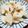 山ばあば's cooksnap of when they made 塩麴で大根のべったら漬け.
