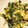 クックAH16ML☆'s cooksnap of when they made 小松菜の卵炒め..★.