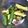 クックTTMYCD☆'s cooksnap of when they made すぐできる☆きゅうりの中華和え.