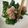 カントリンブンブン's cooksnap of when they made 春菊のツナごま和え.