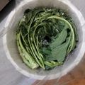 mikeshima's cooksnap of when they made 野沢菜漬け.