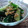shokolat's cooksnap of when they made きゅうりのアジアン胡麻和え.