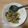 kangaru's cooksnap of when they made ご飯がすすむ～♫簡単豚バラ大根ニラ炒め.
