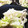 クッキン坊主's cooksnap of when they made ☆もやしとレタスとツナのサラダ☆.