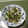 クック1V5K8H☆'s cooksnap of when they made 泪を誘う簡単おつまみ 山葵と鰹節の和え物.