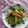 ピンクのたまご's cooksnap of when they made 簡単！小松菜とさつま揚げの胡麻和え.