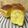 きっかママ's cooksnap of when they made 超ふわＨＢでケーキのようなかぼちゃぱん♪.