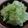 yukitarooo's cooksnap of when they made あと1品に♡ﾚﾀｽの粒ﾏｽ和え.