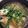 わたるんママ's cooksnap of when they made 旨味ギュッと♡美味しいタラのスープ.