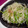 れなちぃ：'s cooksnap of when they made 簡単☆ぱぱっと野菜炒め♪.