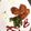 小説家のんちゃん's cooksnap of when they made ミラノ風焼鳥.