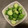 プリヲ's cooksnap of when they made おつまみにも！簡単美味しいきゅうりの漬物.
