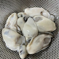 白バラ牛's cooksnap of when they made 叔母直伝☆牡蠣の洗い方.