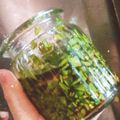 彩菜と藍のままん's cooksnap of when they made 万能♡にらポン酢♪.