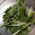 ほもさぴくろまによん's cooksnap of when they made 【時短レシピ】水菜と塩昆布のサラダ.