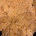ひなコアラ's cooksnap of when they made シェフ直伝男のパラパラチャーハンの作り方.