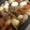 りあちゃんちょ's cooksnap of when they made ✽わが家のおでん・関西風✽.