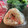 マールマル's cooksnap of when they made ฺ塩昆布と桜えびのおにぎり.