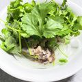 ちぃこgogo's cooksnap of when they made アジアン鯖缶.